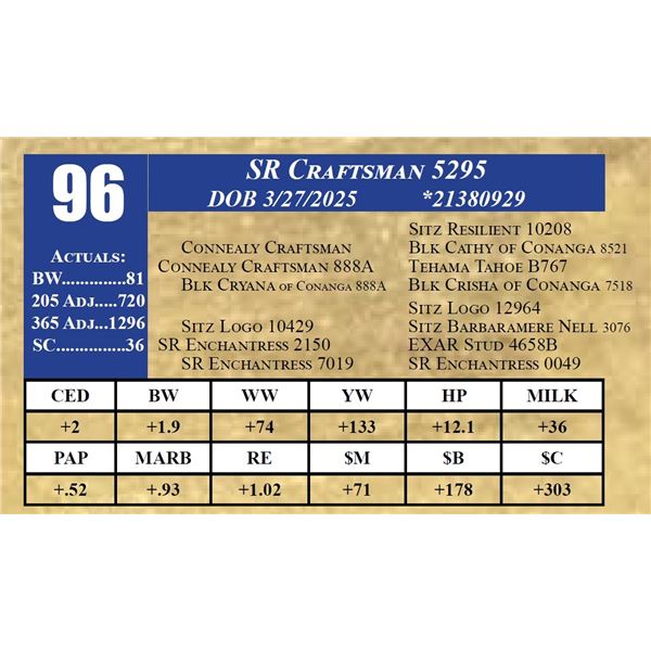 SR CRAFTSMAN 5295