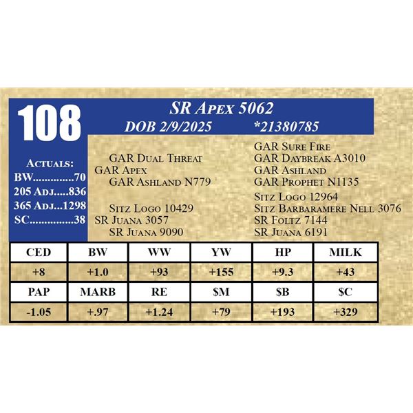 SR APEX 5062