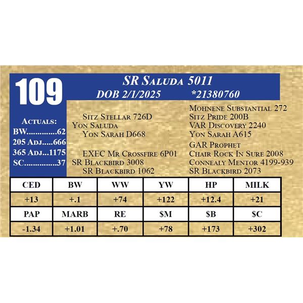 SR SALUDA 5011