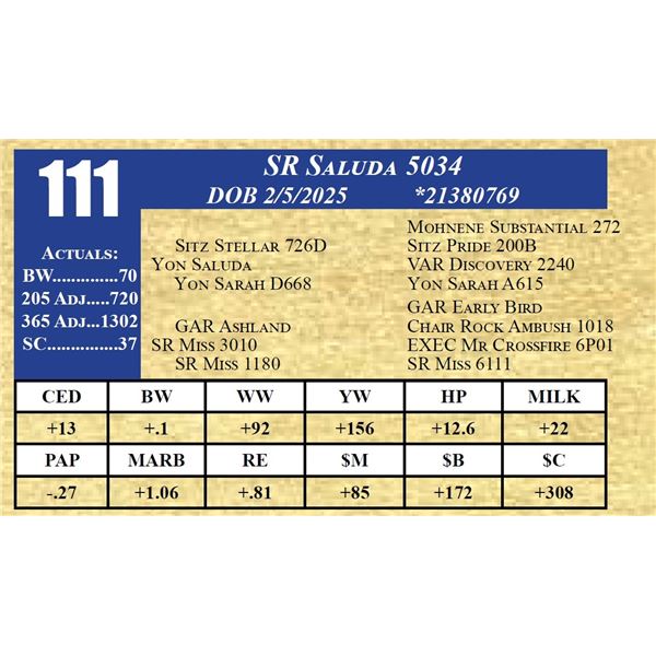 SR SALUDA 5034