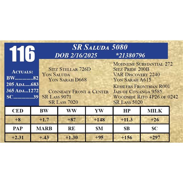 SR SALUDA 5080