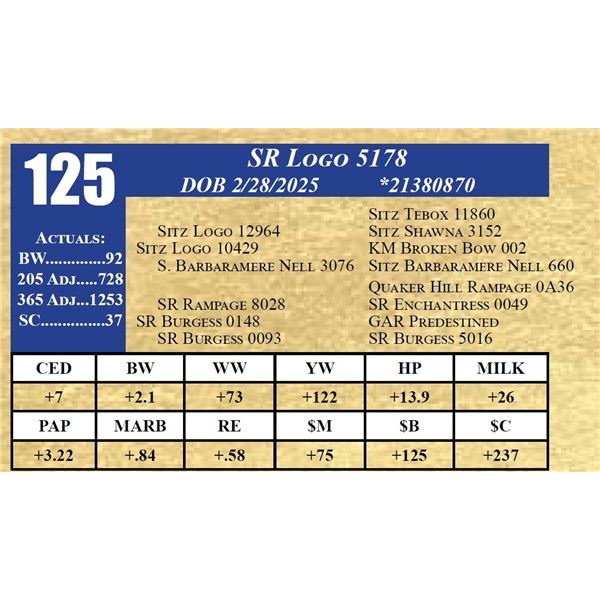 SR LOGO 5178