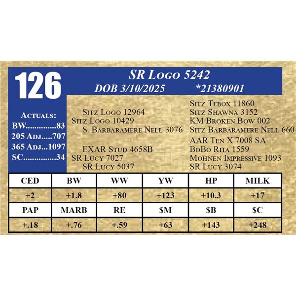SR LOGO 5242