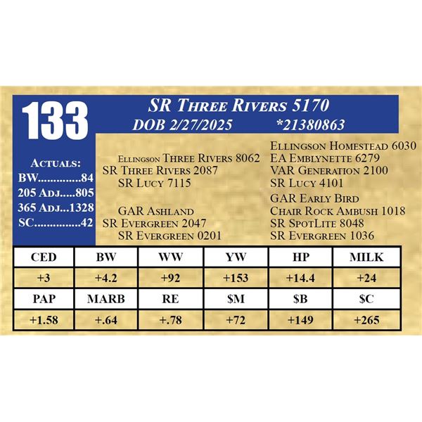 SR THREE RIVERS 5170