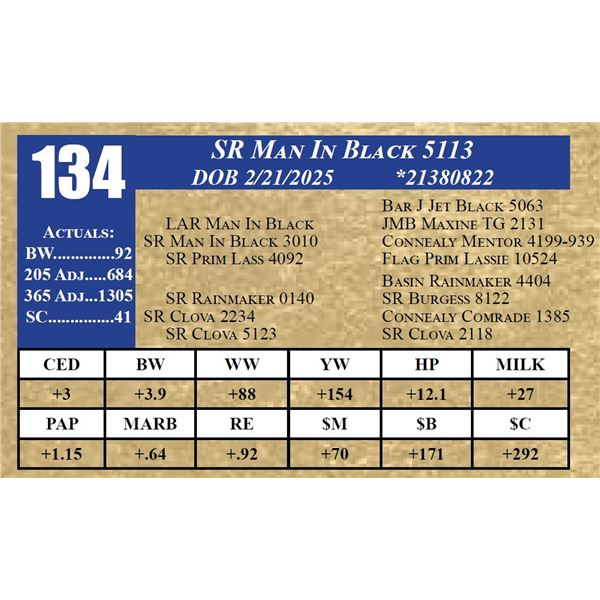 SR MAN IN BLACK 5113