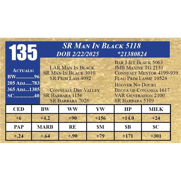 SR MAN IN BLACK 5118