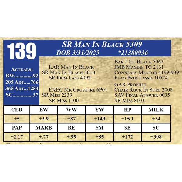 SR MAN IN BLACK 5309