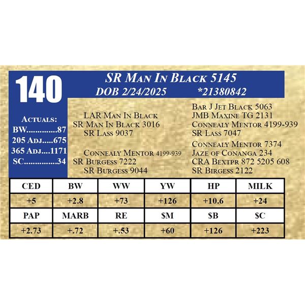 SR MAN IN BLACK 5145