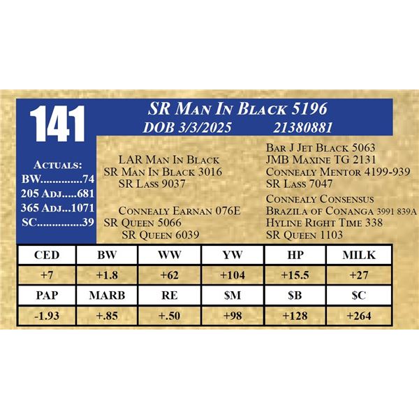SR MAN IN BLACK 5196