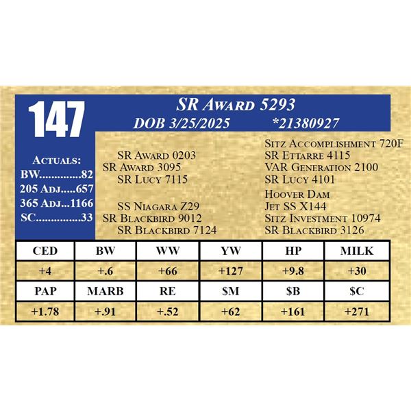SR AWARD 5293