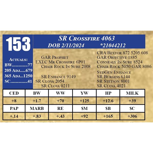 SR CROSSFIRE 4063