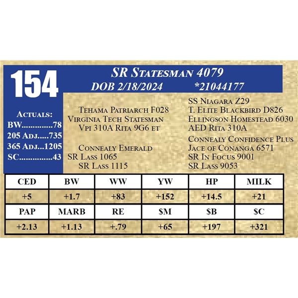 SR STATESMAN 4079