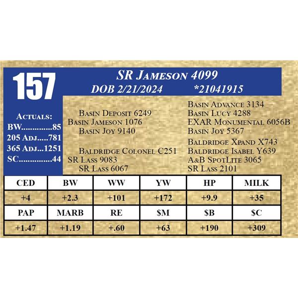 SR JAMESON 4099