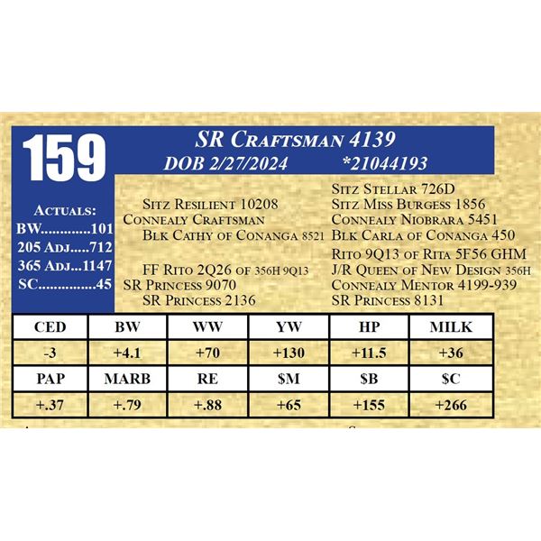 SR CRAFTSMAN 4139