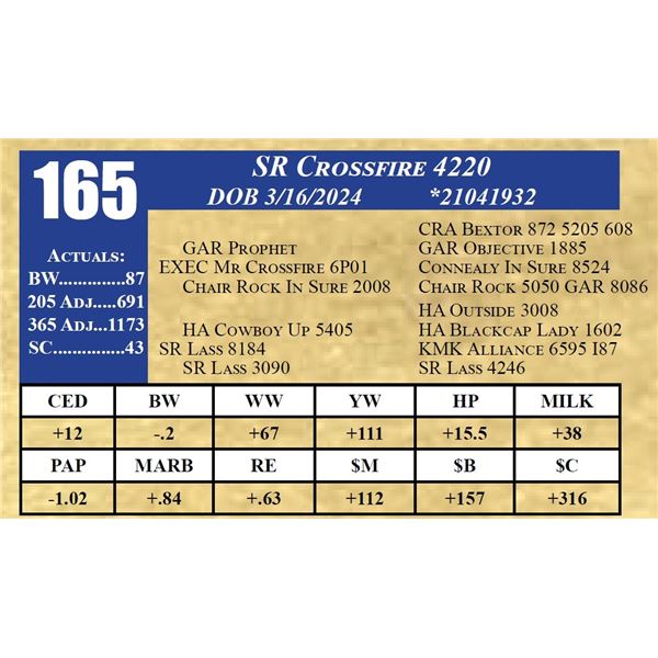 SR CROSSFIRE 4220