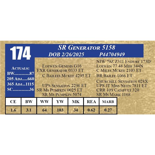 SR GENERATOR 5158