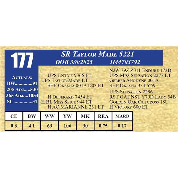 SR TAYLOR MADE 5221