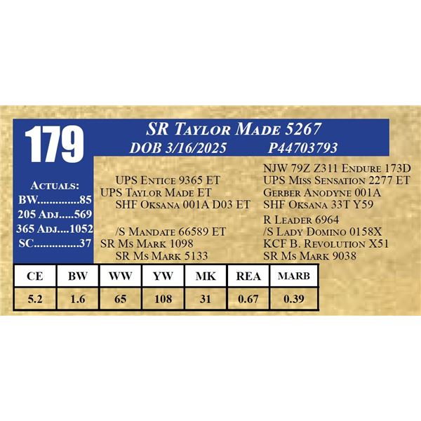 SR TAYLOR MADE 5267