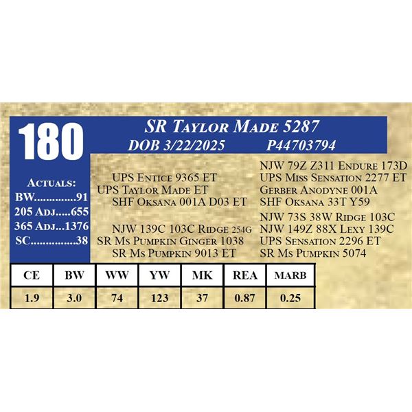 SR TAYLOR MADE 5287