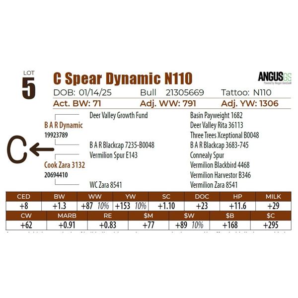 C Spear Dynamic N110