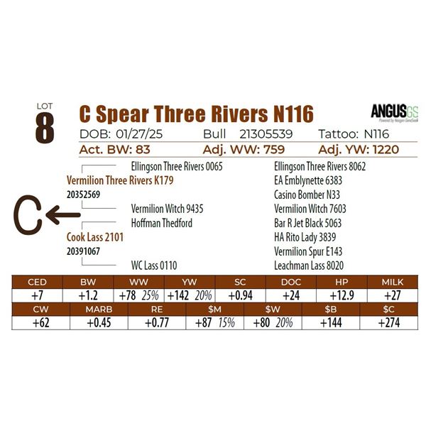 C Spear Three Rivers N116