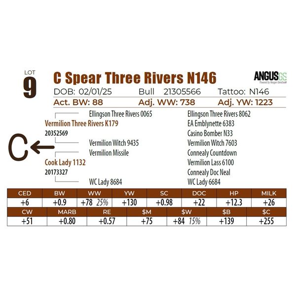 C Spear Three Rivers N146