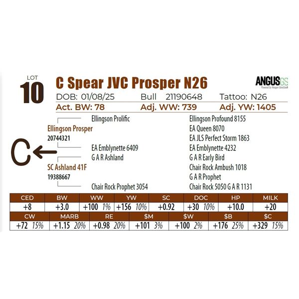 C Spear JVC Prosper N26