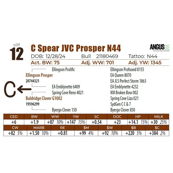 C Spear JVC Prosper N44