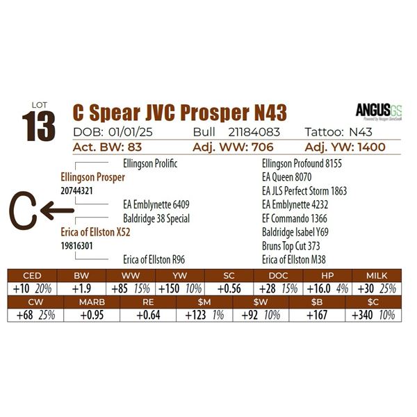 C Spear JVC Prosper N43