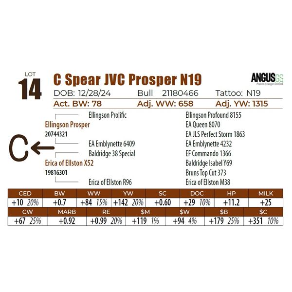 C Spear JVC Prosper N19