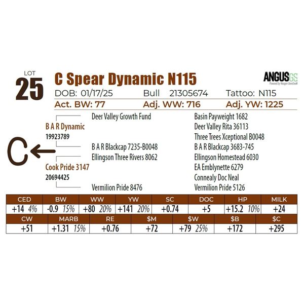 C Spear Dynamic N115