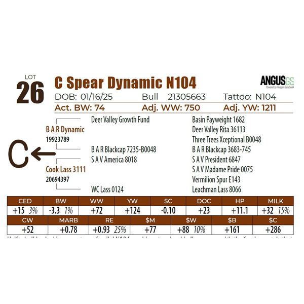 C Spear Dynamic N104