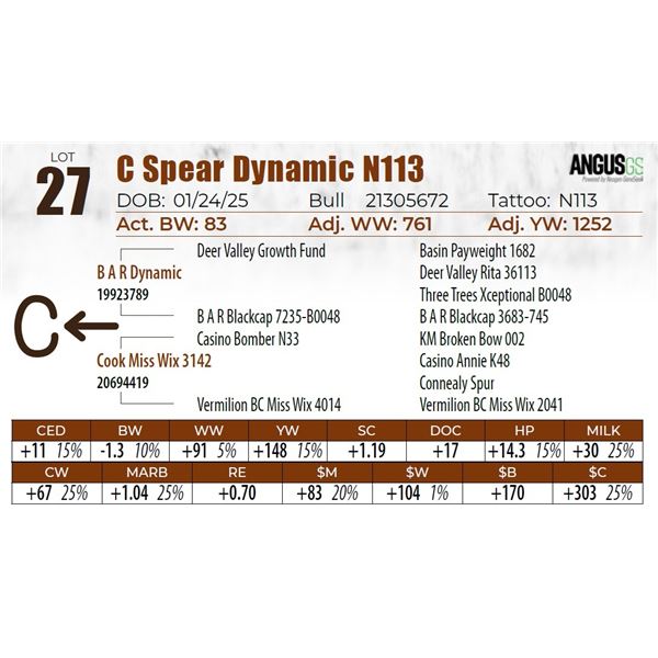 C Spear Dynamic N113