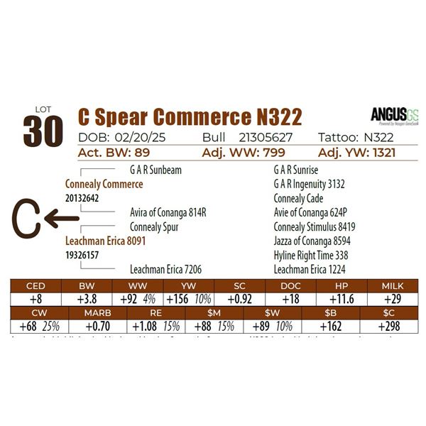 C Spear Commerce N322