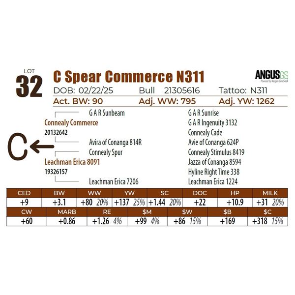 C Spear Commerce N311