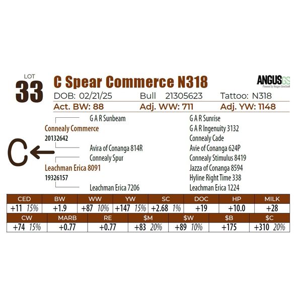 C Spear Commerce N318