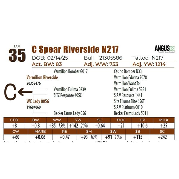 C Spear Riverside N217