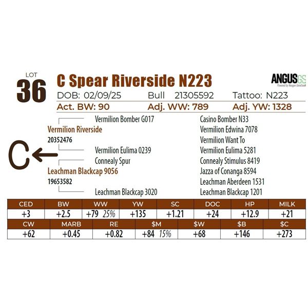 C Spear Riverside N223