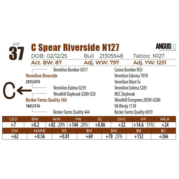 C Spear Riverside N127