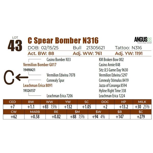 C Spear Bomber N316