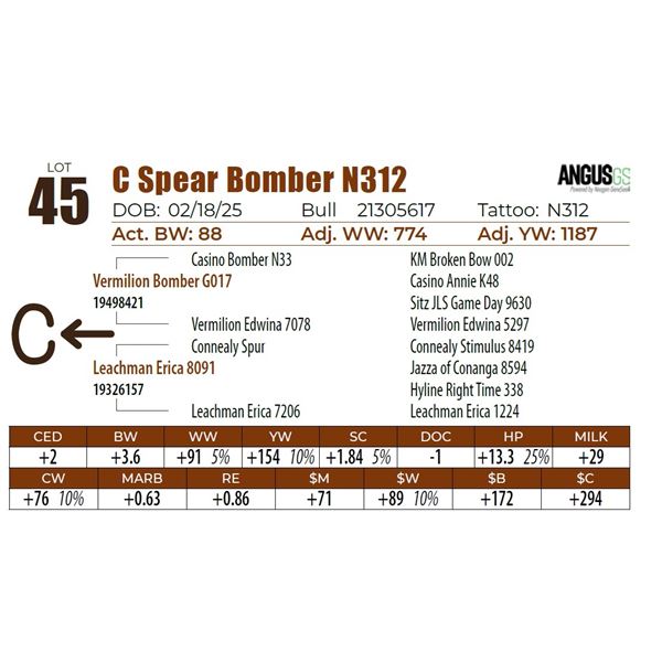 C Spear Bomber N312