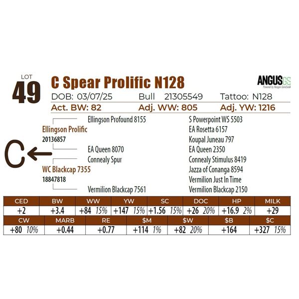 C Spear Prolific N128
