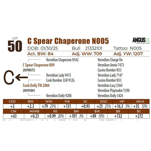 C Spear Chaperone N005