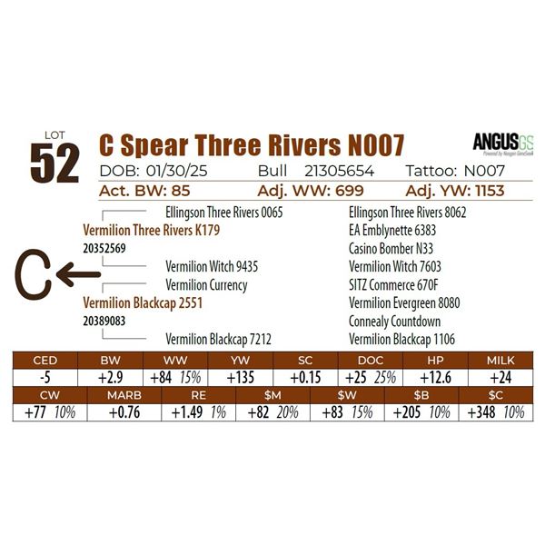 C Spear Three Rivers N007