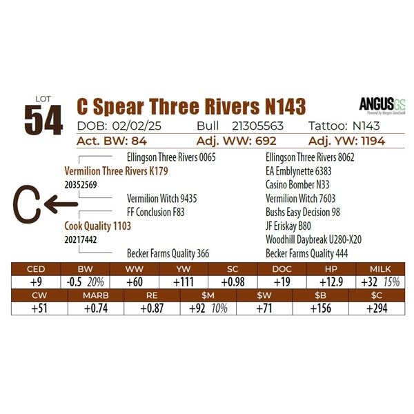 C Spear Three Rivers N143