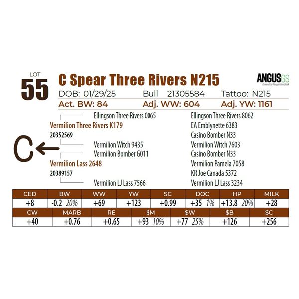 C Spear Three Rivers N215