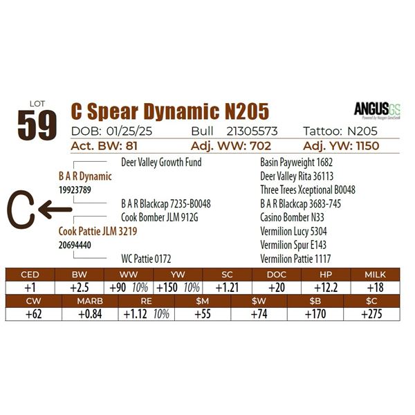 C Spear Dynamic N205