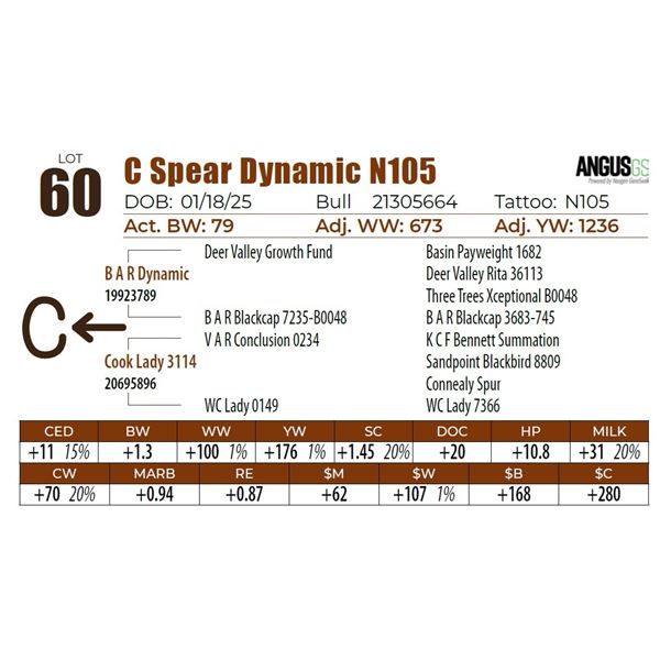 C Spear Dynamic N105