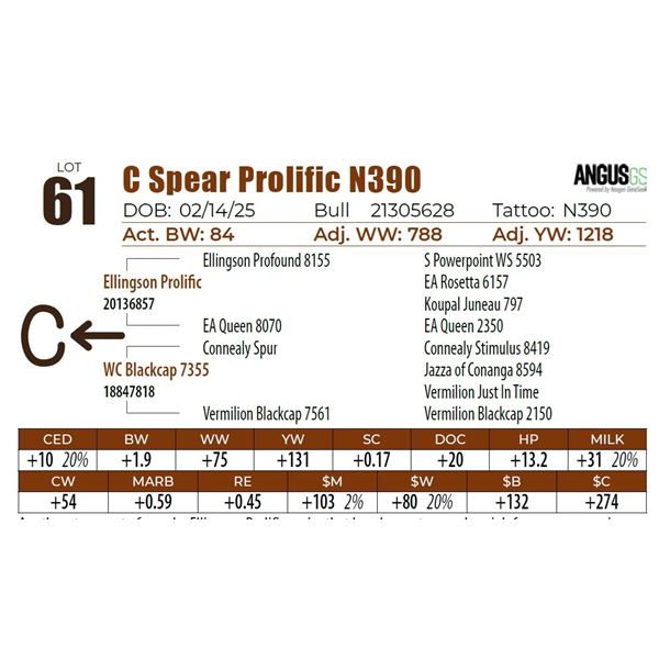 C Spear Prolific N390