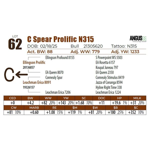 C Spear Prolific N315